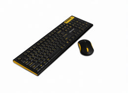 Royche Wireless Combo RX-3100